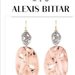 Alexis Bittar earnings